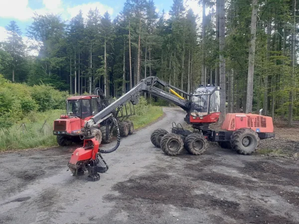 Lesnictví